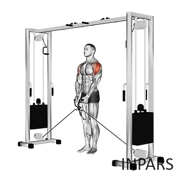 نشر جانب با سیمکش (Cable Lateral Raise)