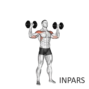 پرس سرشانه با دمبل (Seated/Standing Dumbbell Shoulder Press)