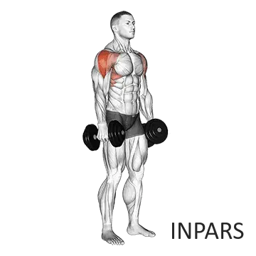 نشر جانب با دمبل (Dumbbell Lateral Raise)