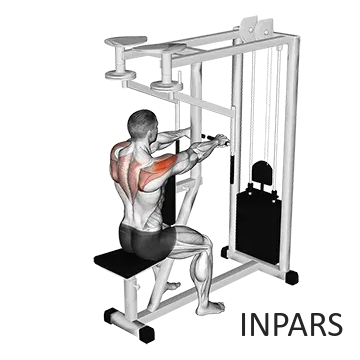 فلای معکوس با دستگاه (Reverse Pec Deck Fly Machine)