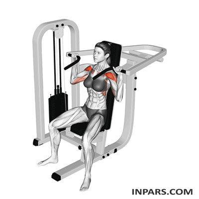 دستگاههای پرس سرشانه (Shoulder Press Machines)