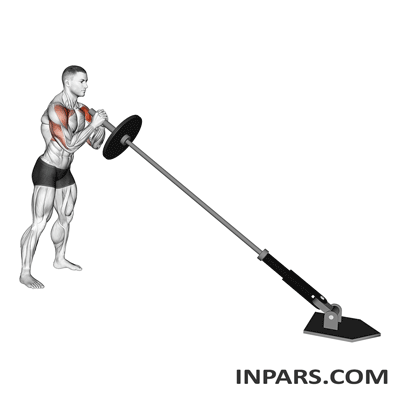 پرس لندماین (Landmine Press):