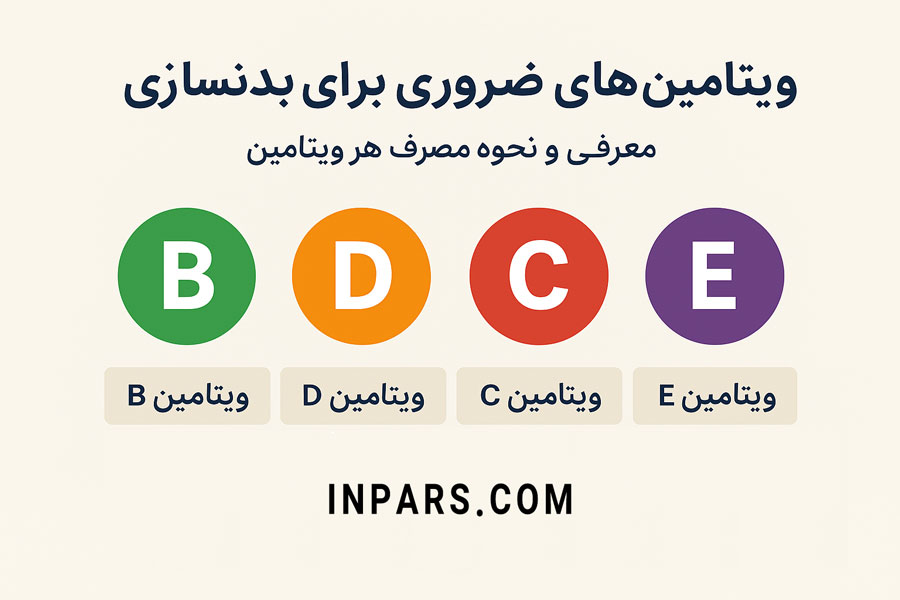 ویتامین‌های ضروری برای بدنسازی | معرفی و نحوه مصرف هر ویتامین