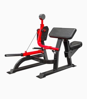 دستگاه جلو بازو وزنه آزاد اینپارس