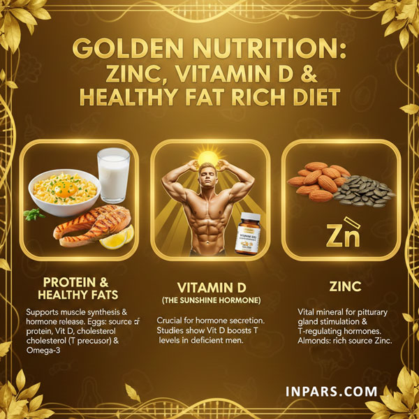 ۴. روش‌های طبیعی افزایش تستوسترون (بدون نیاز به دارو)