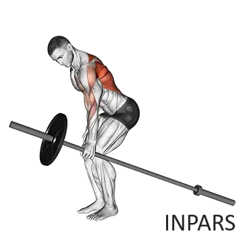 Barbell One Arm Bent Over Row: روئینگ لندماین تک‌دست (تمرین یک‌طرفه با هالتر)