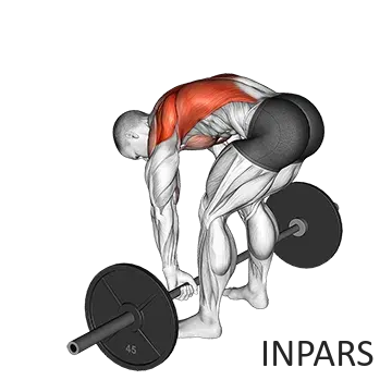 Barbell Pendlay Row: روئینگ پندلای (فرم ۹۰ درجه و قدرت انفجاری)