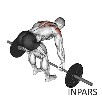 Barbell Rear Delt Row: زیربغل هالتر برای دلتوئید خلفی (ایزوله کردن سرشانه پشتی)
