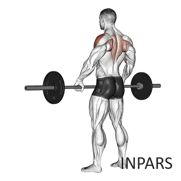 Barbell Wide Grip Upright Row: روئینگ هالتر با گیرش پهن (برای عرض پشت فوقانی)