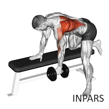 Dumbbell Bent-Over Row: روئینگ دمبل تک‌دست (بهترین حرکت برای لت)