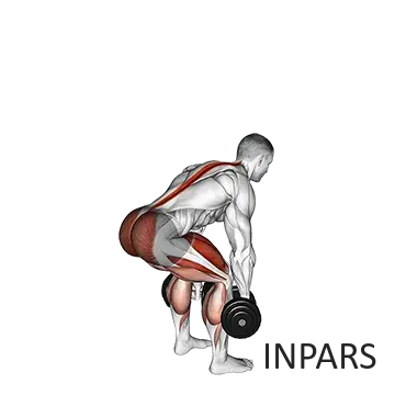Dumbbell Deadlift: ددلیفت دمبل (تثبیت و ایمنی ستون فقرات)
