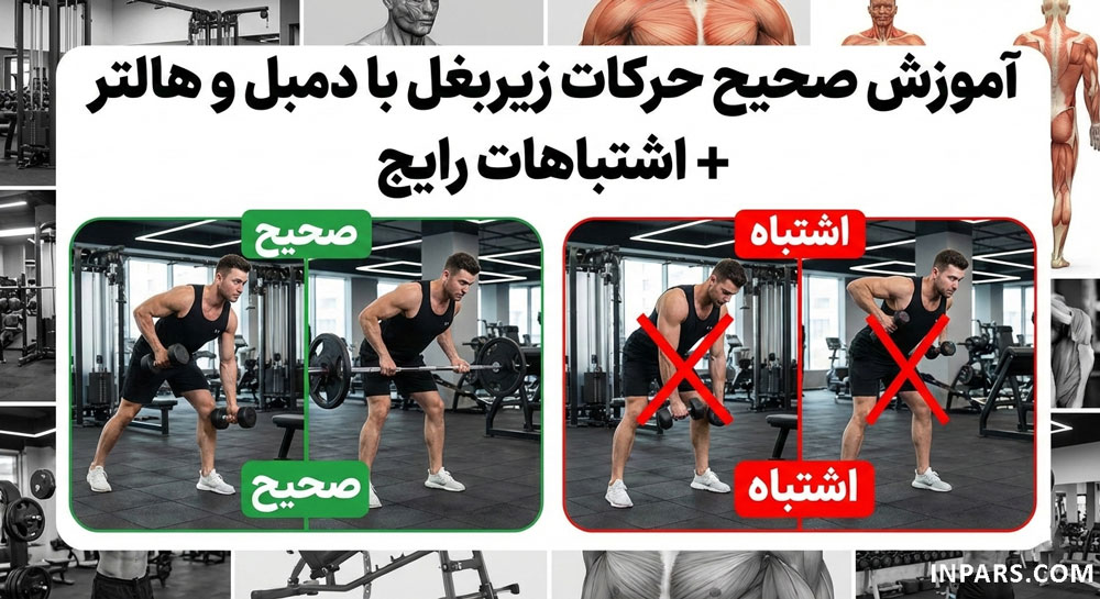 آموزش صحیح حرکات زیربغل با دمبل و هالتر + اشتباهات رایج