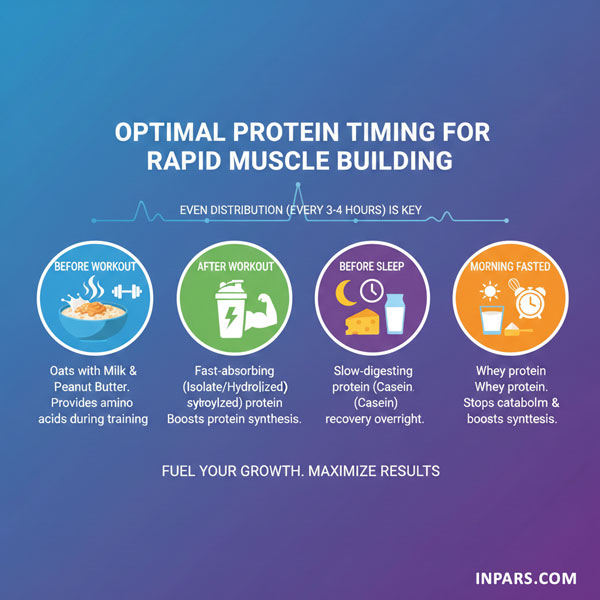 بهترین زمان مصرف پروتئین برای عضله‌سازی سریع