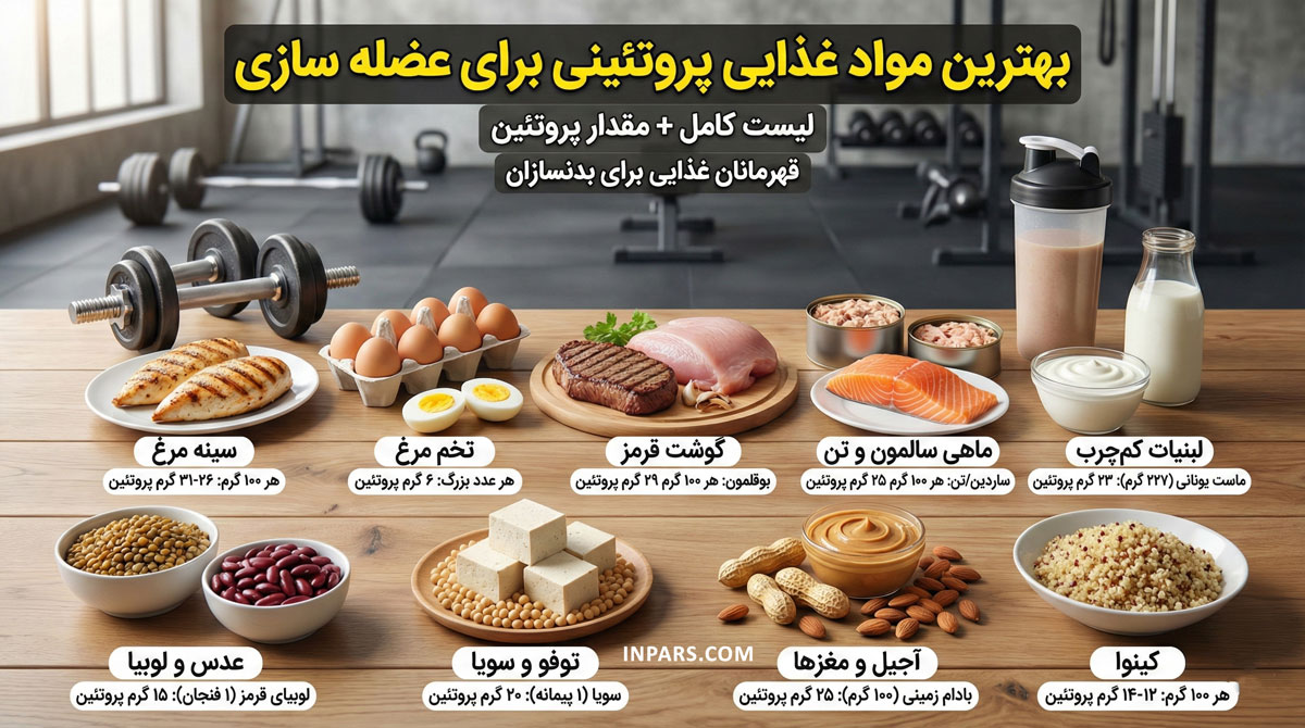 بهترین مواد غذایی پروتئینی برای عضله سازی (لیست کامل + مقدار پروتئین)