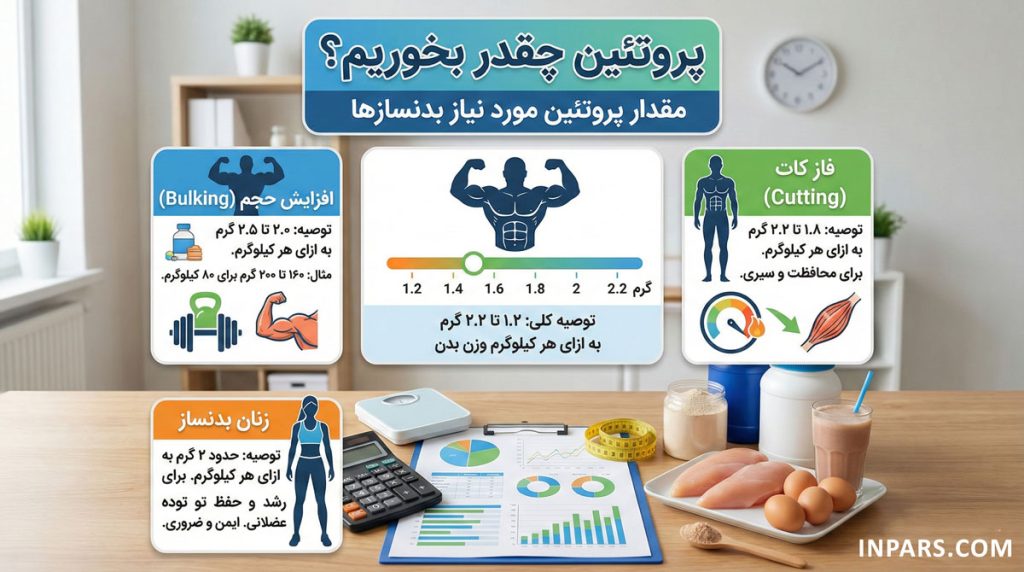 پروتئین چقدر بخوریم؟ مقدار پروتئین مورد نیاز بدنسازها